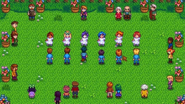 How To Romance Haley In Stardew Valley