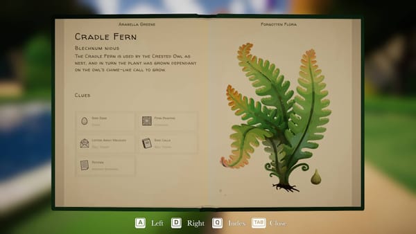 Botany Manor How To Grow The Cradle Fern